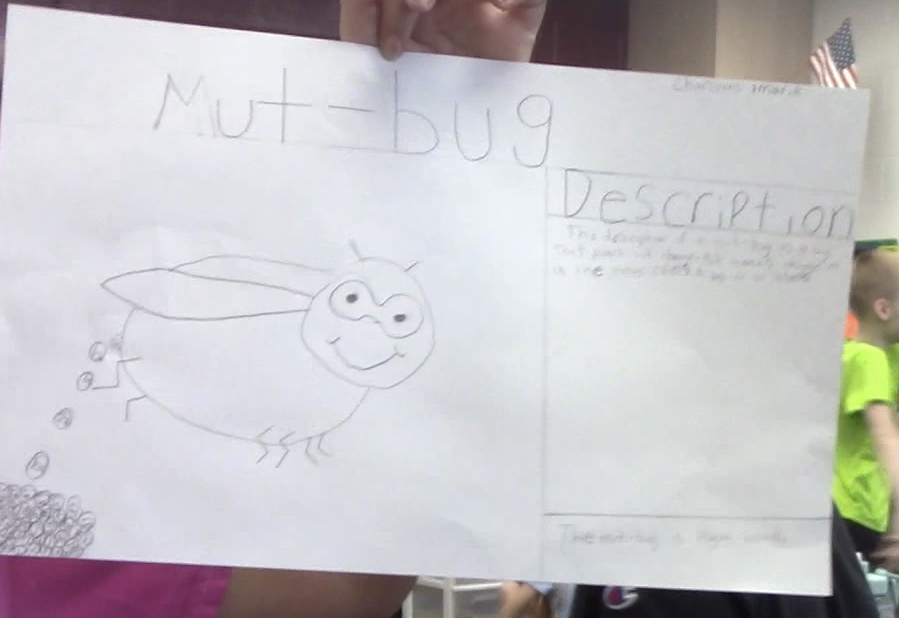 Vocab Example